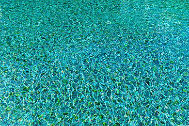 《都要!小孩子才做选择》Steam版发售 优惠价37.8元